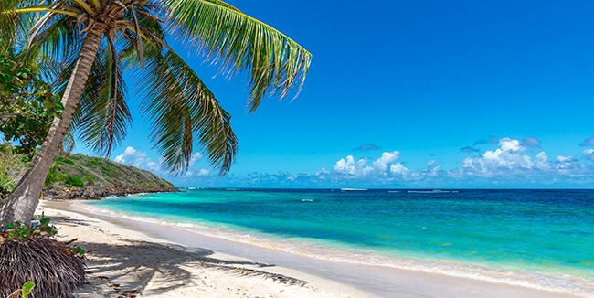 Bahamas