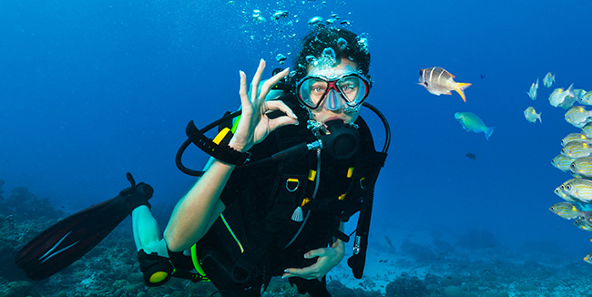 Snorkelling and Diving