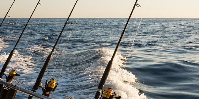 Fishing